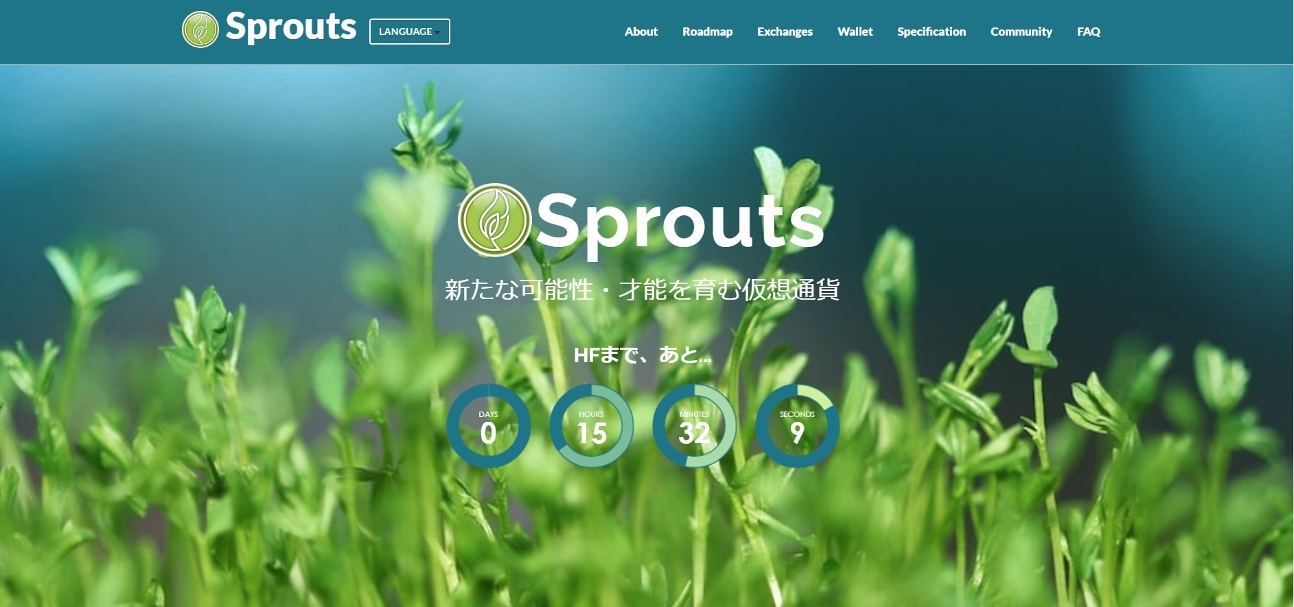 sprouts.jpg